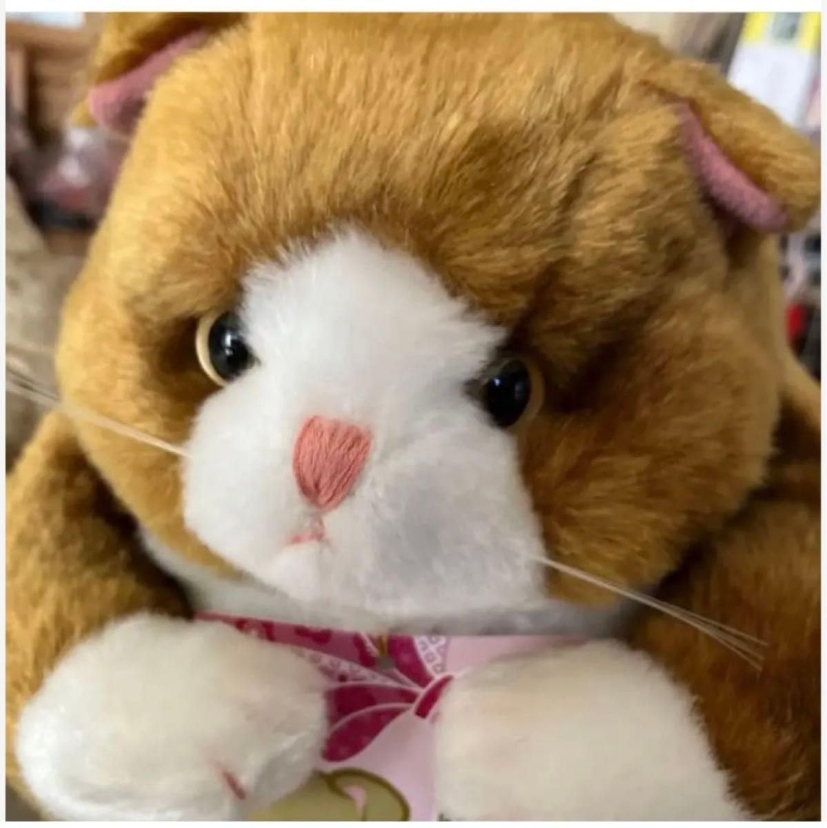Amazon.co.jp: でぶねこ こてつ こすず こばん こはく 4匹 猫